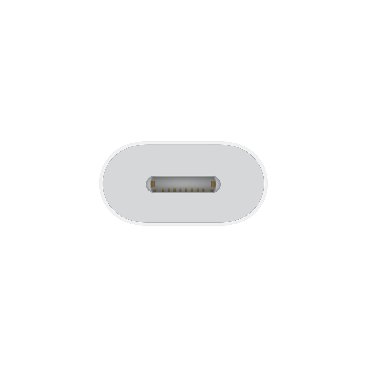 USB-C to Lightning Adapter