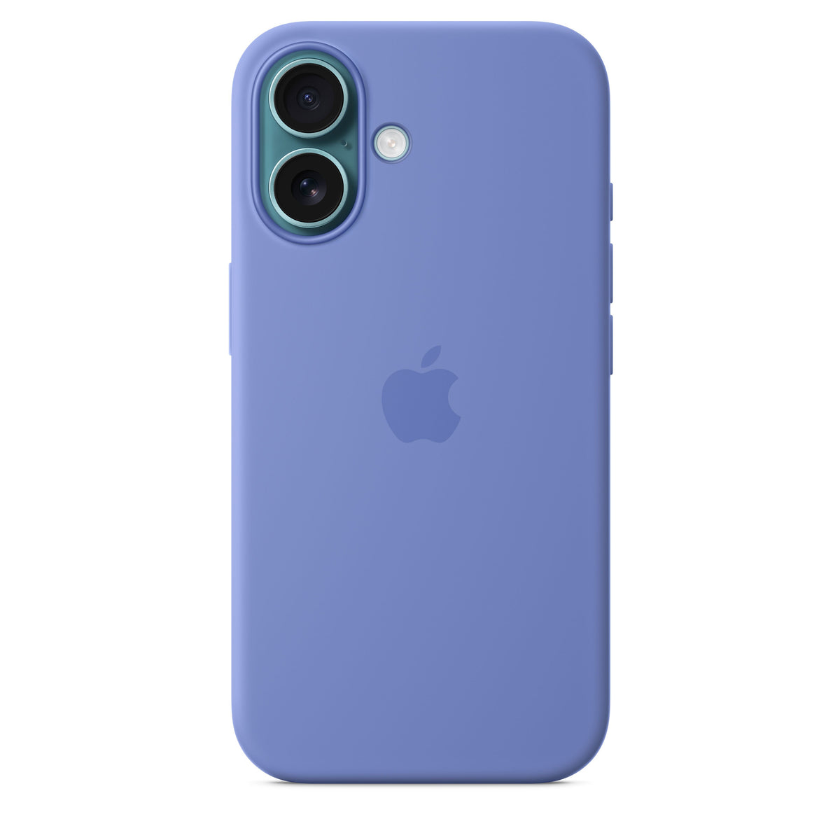 Periwinkle