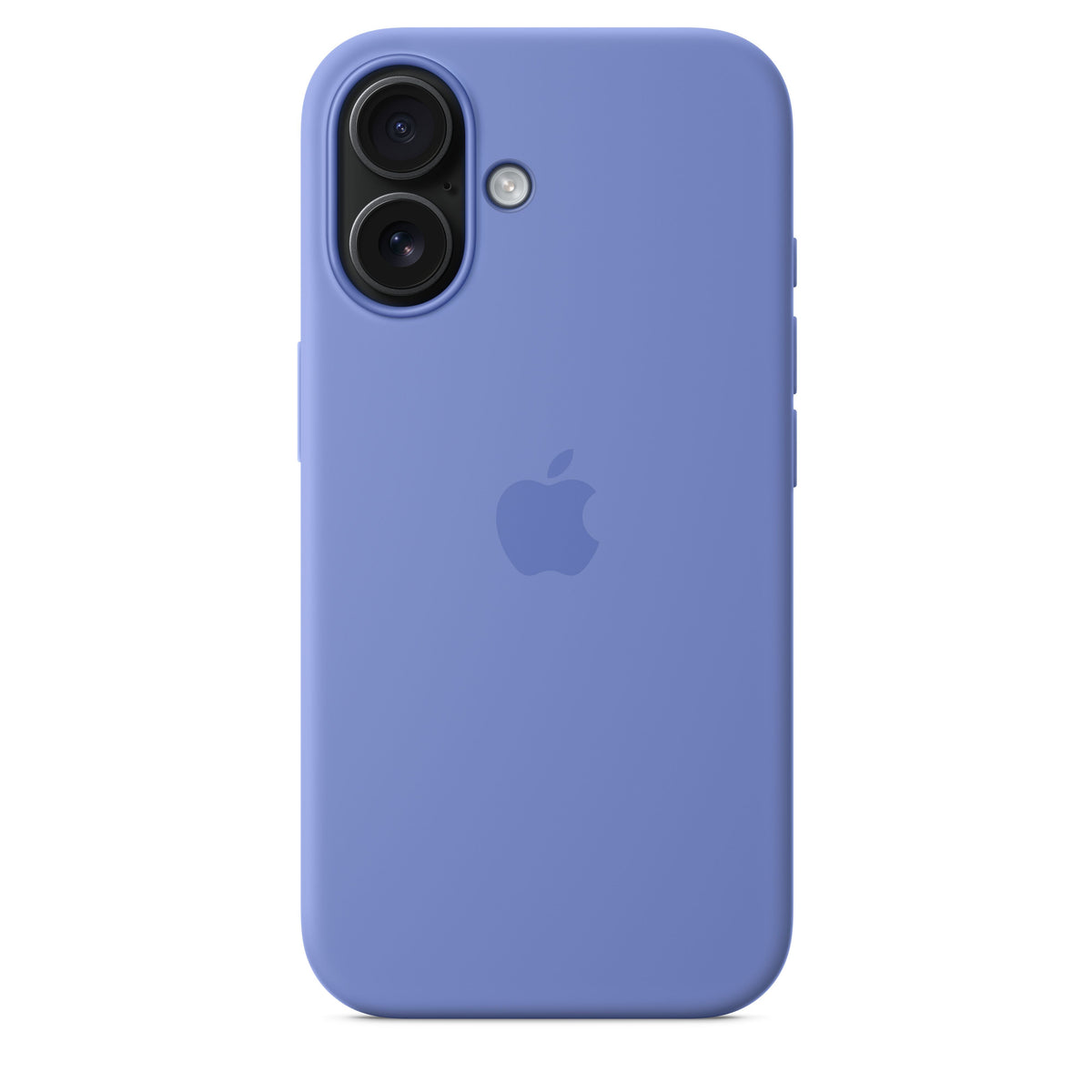 Periwinkle