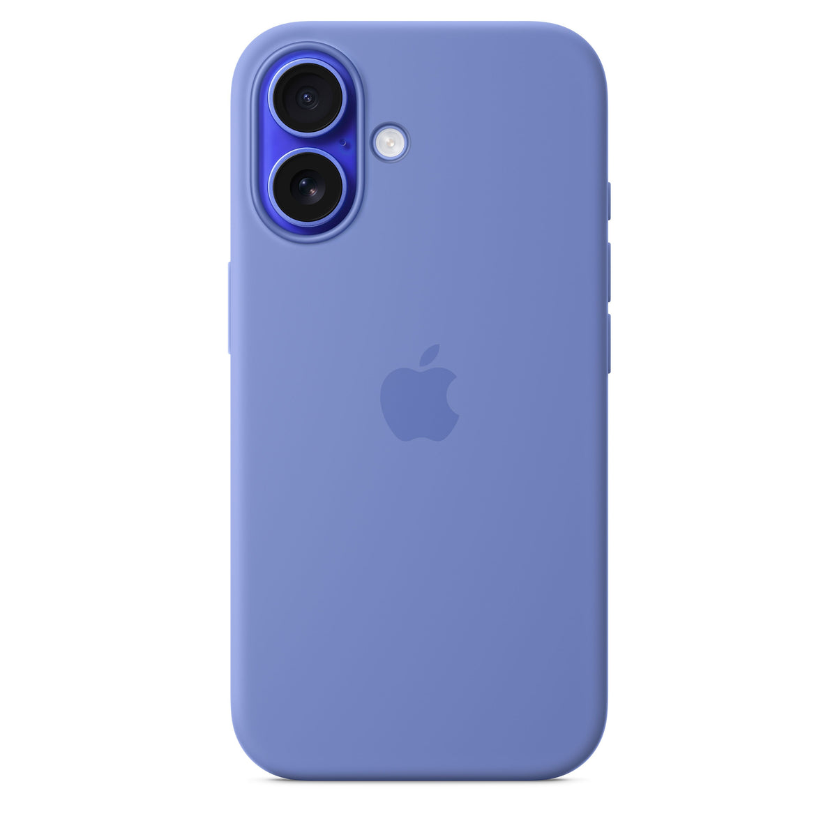 Periwinkle