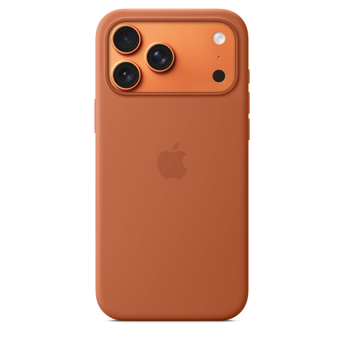 Terra Cotta