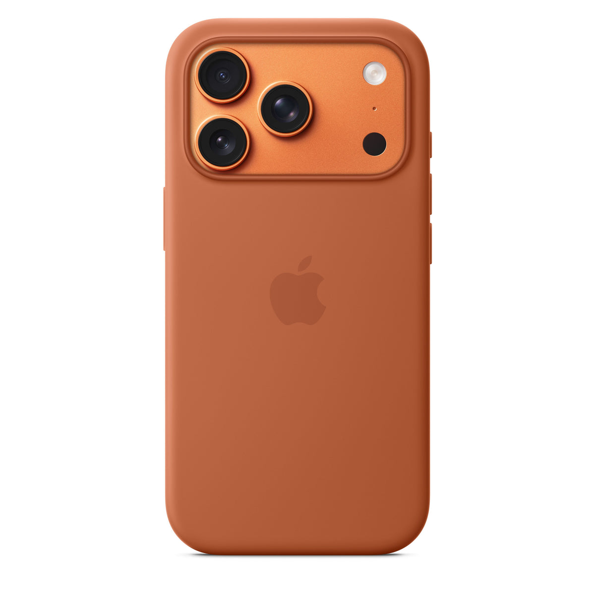 Terra Cotta