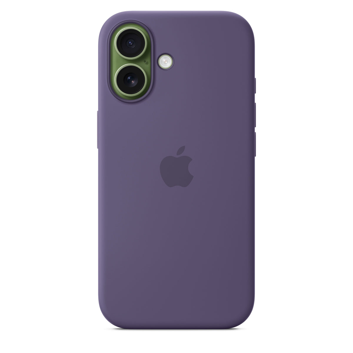 Purple Fog
