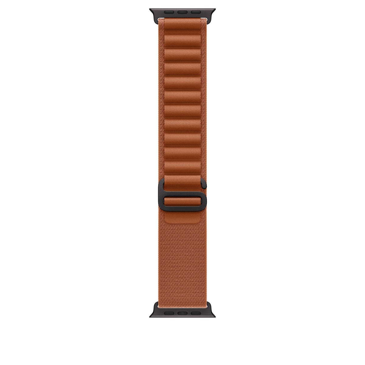 Terra Cotta