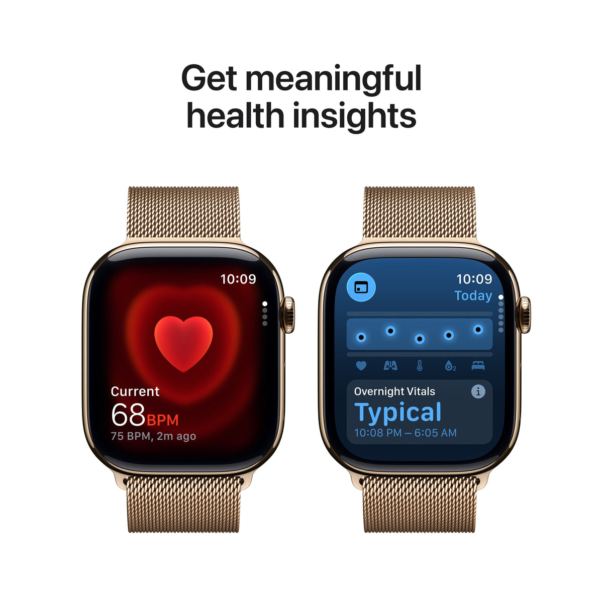 Gold Titanium / Gold