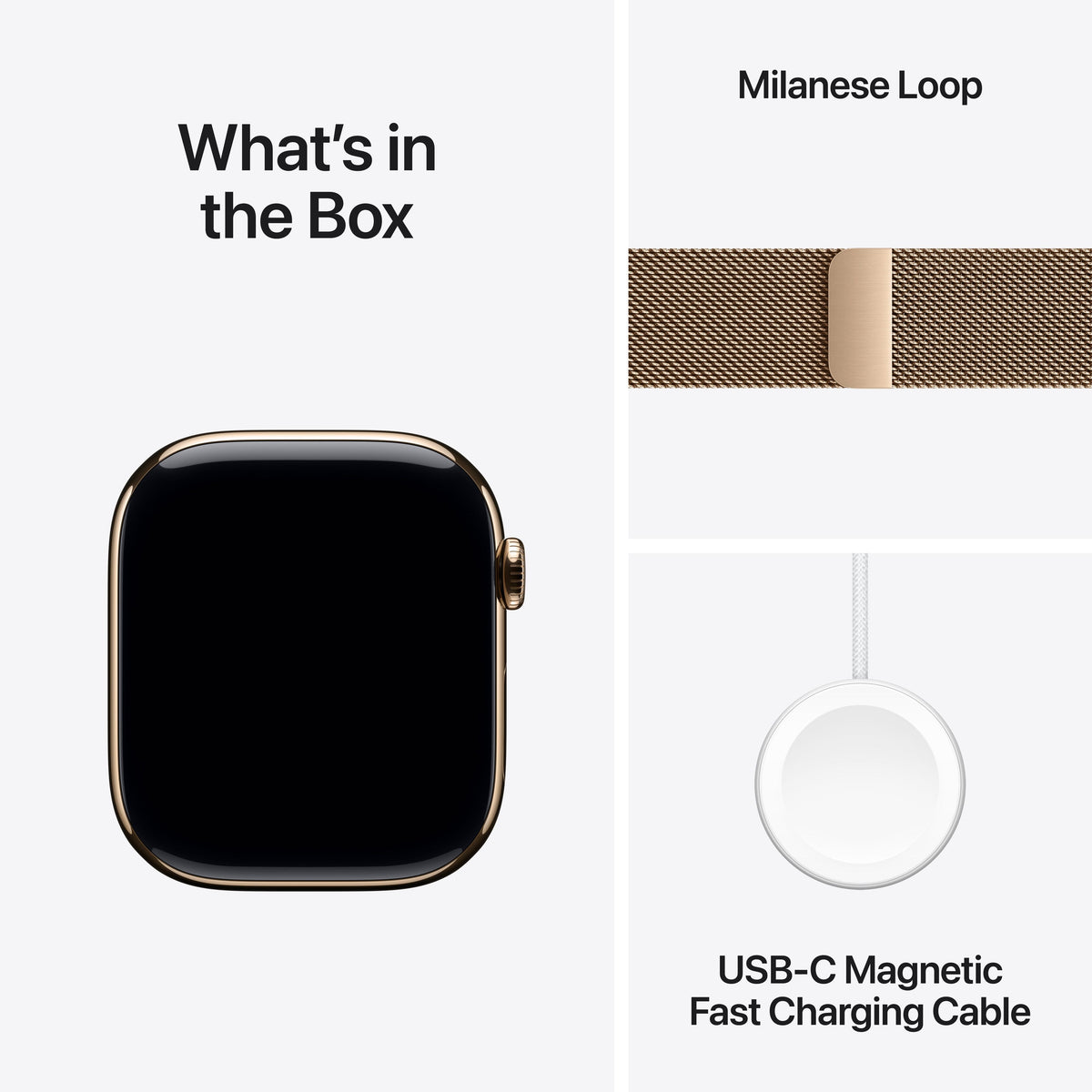 Gold Titanium / Gold