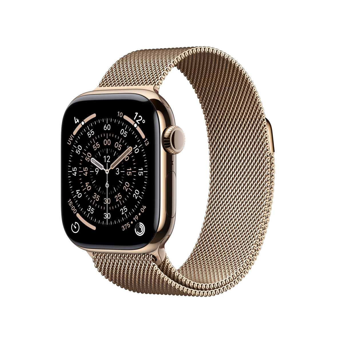 Gold Titanium / Gold