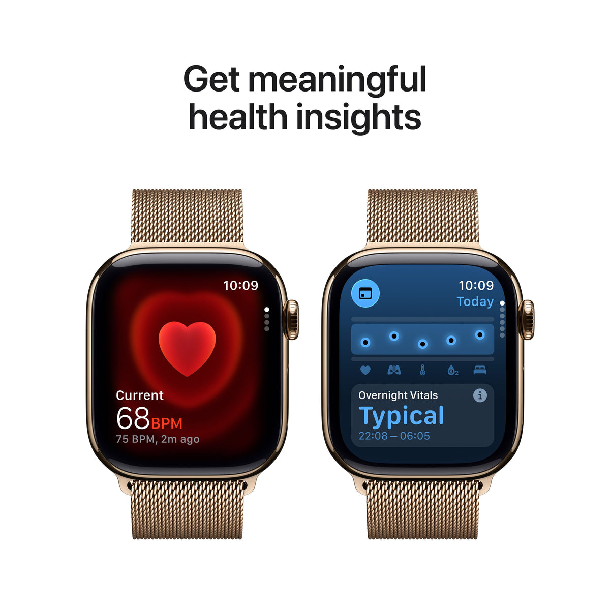 Gold Titanium / Gold