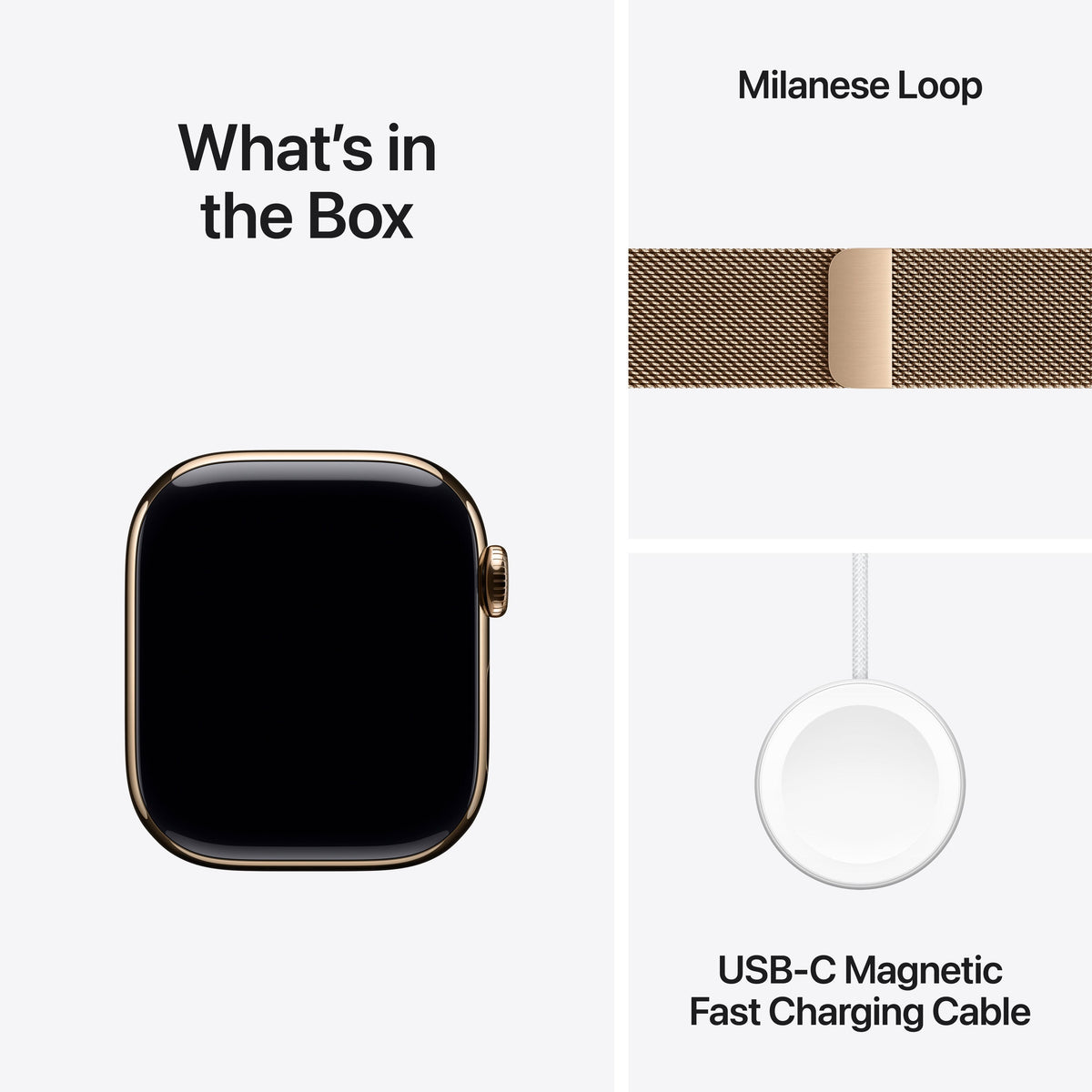 Gold Titanium / Gold