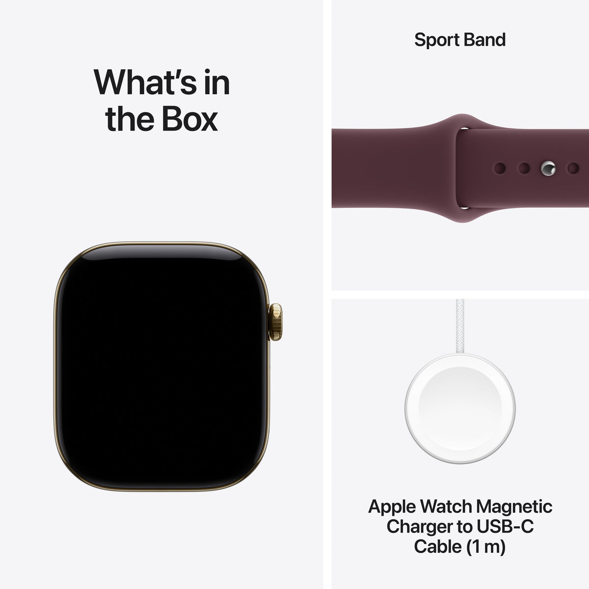 Radiant Gold Titanium / Burgundy