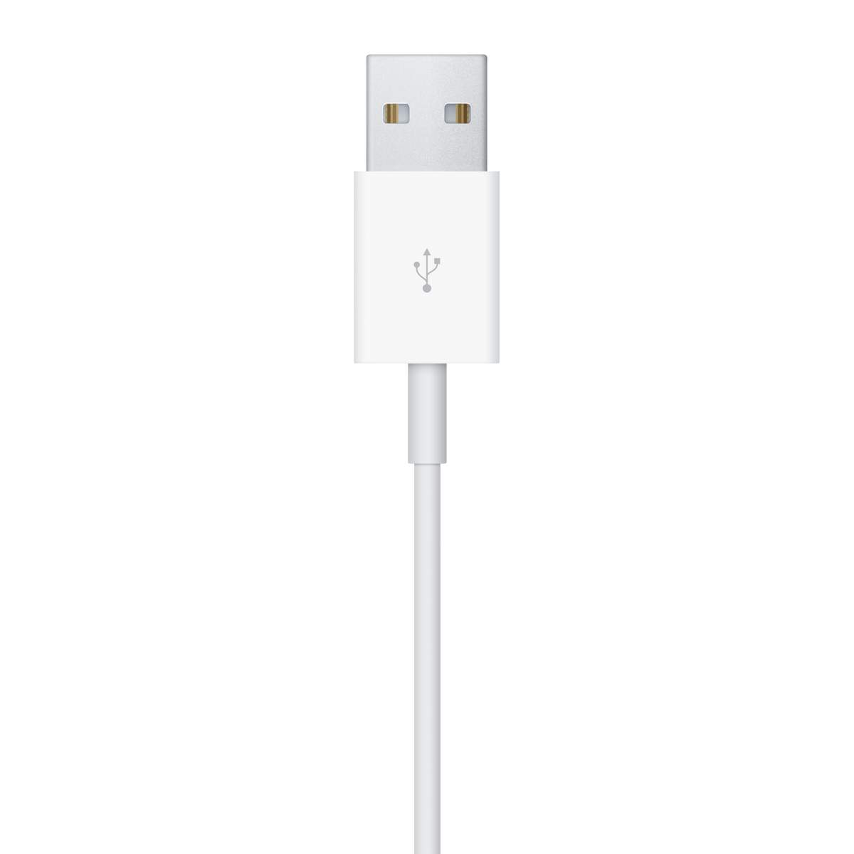 Apple Watch Magnetic Charging Cable (2 m)