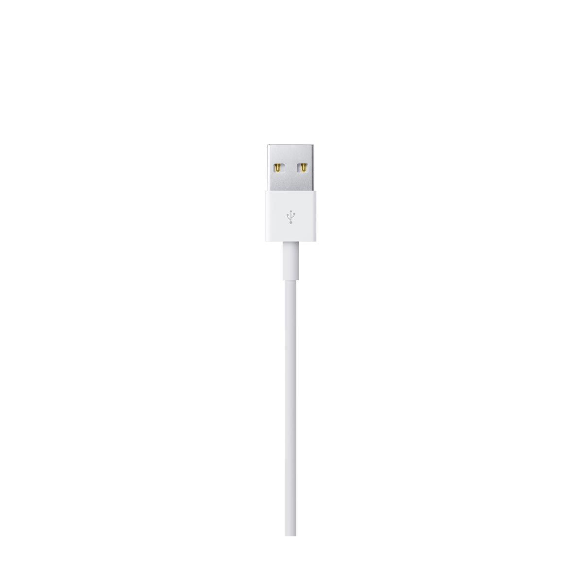 Apple - Lightning to USB Cable (0.5 m)