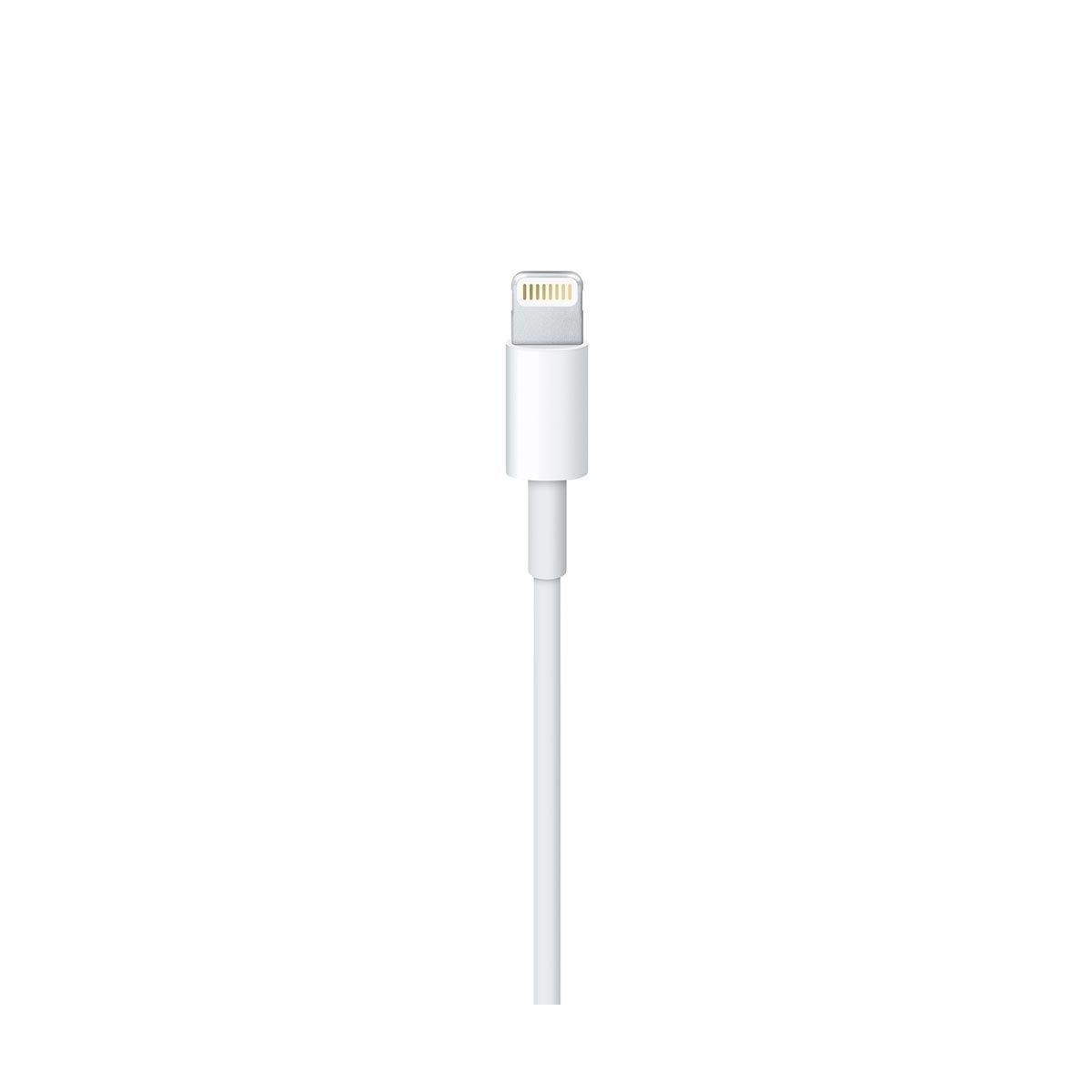 Apple - Lightning to USB Cable (0.5 m)