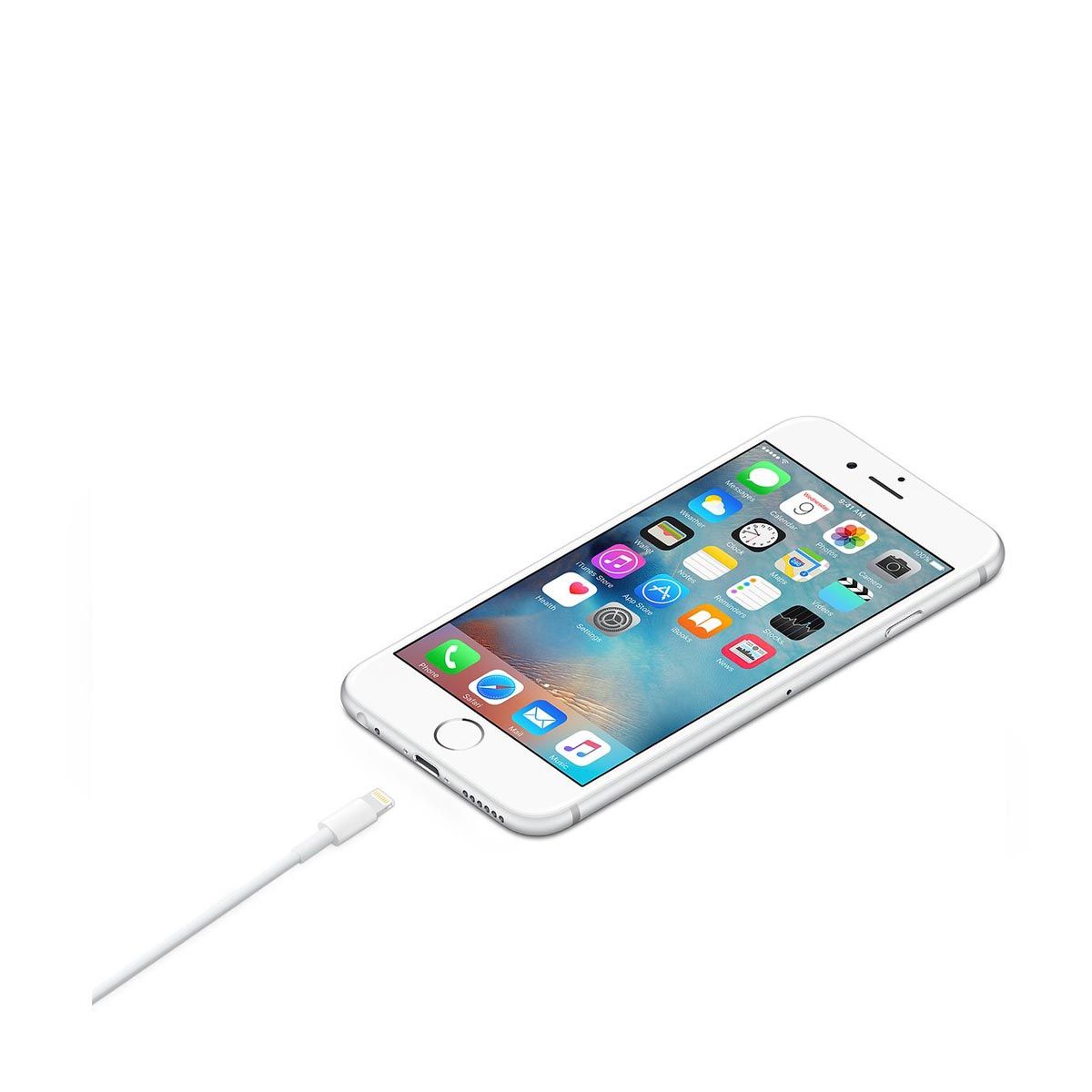 Apple - Lightning to USB Cable (0.5 m)